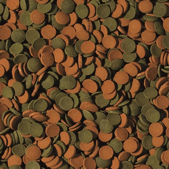 Tropical Mini Wafers Mix 100 Gram Açık