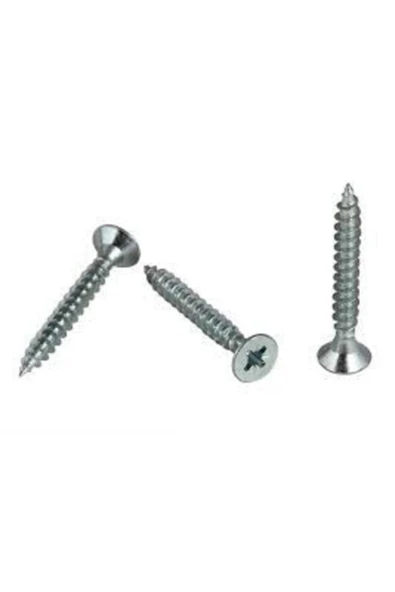 Merdiyen Sunta Vidası 4x70 (200ADET) - Resim 3