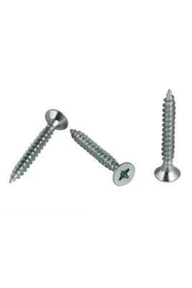 Merdiyen Sunta Vidası 4x40 (500ADET) - Resim 3