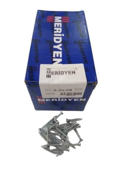 Merdiyen Sunta Vidası 4x60 (200ADET)