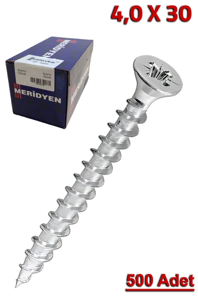 Meridyen Sunta Vidası 4.0X30 (500 Adet)