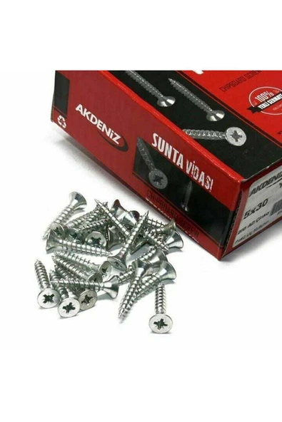 5x60 Sunta Vidası Çinko (200 Adet) - 2