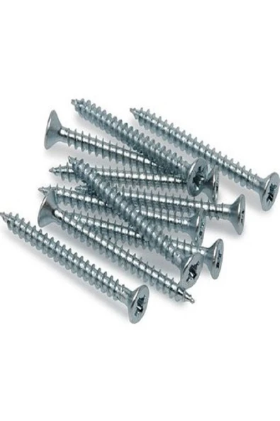 3,5x18 Sunta Vidası 100 Adet (bits Uç Hediyeli) ürün görseli