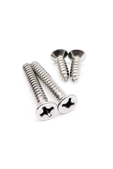 5x80 Mm Sunta Ve Ağaç Vidası Paslanmaz Dayanıklı Vida 200 Adet - Resim 4