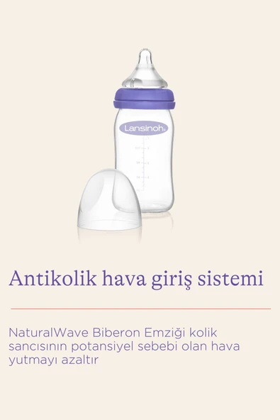 Lansinoh Cam Biberon 160 ml - Resim 4