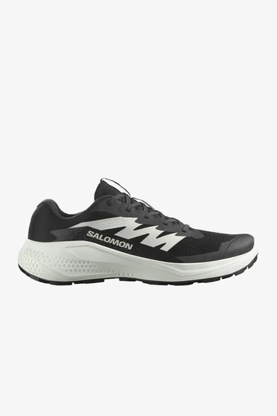 Salomon Alphaglıde Erkek Gri Patika Koşu Ayakkabısı L47801000-5895