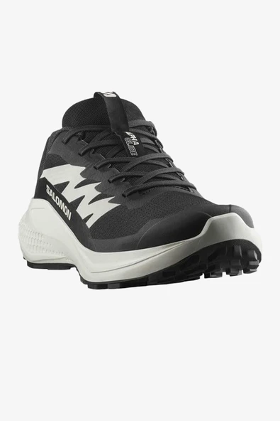 Salomon Alphaglıde Erkek Gri Patika Koşu Ayakkabısı L47801000-5895 - 2