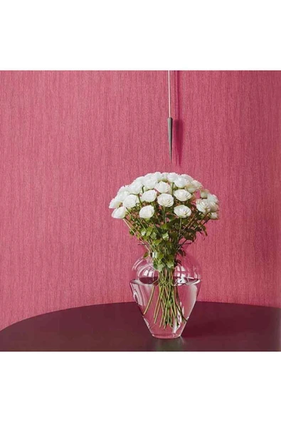 Ankawall PİCASSO 2 BOYANABİLİR DUVAR KAĞIDI 7005 (26.5m2) ürün görseli