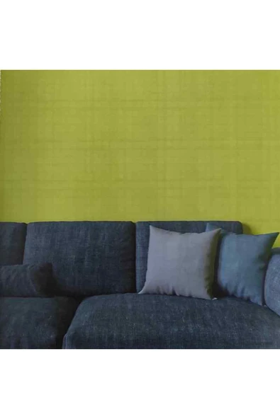 Ankawall PİCASSO 2 BOYANABİLİR DUVAR KAĞIDI 7002 (26.5m2) ürün görseli