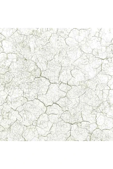 Ankawall VİSİON DUVAR KAĞIDI 2404-2 (16.5m2) - Resim 2