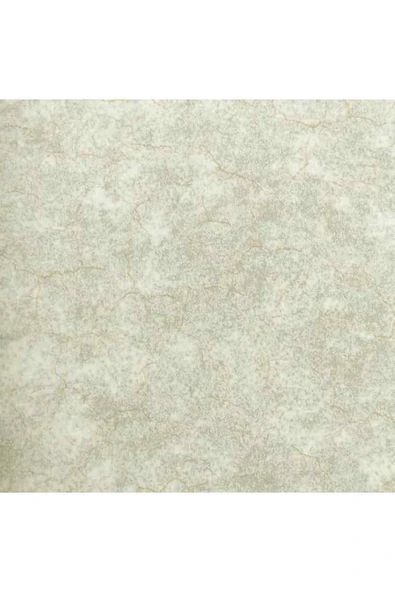 Ankawall VİSİON DUVAR KAĞIDI 2403-6 (16.5m2)