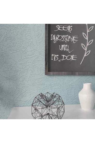 Ankawall PİCASSO 2 BOYANABİLİR DUVAR KAĞIDI 7022 (26.5m2) ürün görseli