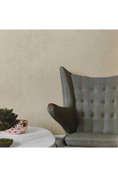 Ankawall PİCASSO 2 BOYANABİLİR DUVAR KAĞIDI 7009 (26.5m2) ürün görseli