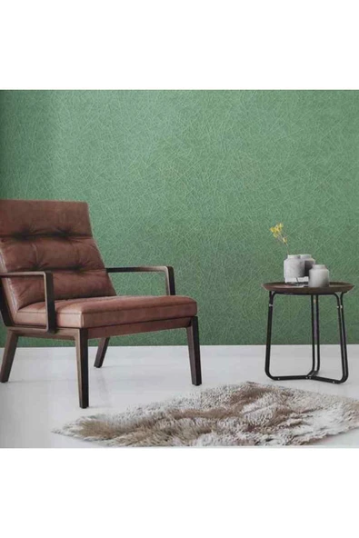 Ankawall PİCASSO BOYANABİLİR DUVAR KAĞIDI 742020 (26.5m2) ürün görseli