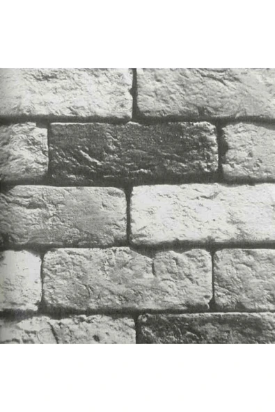 Ankawall VİSİON DUVAR KAĞIDI 2411-4 (16.5m2) ürün görseli