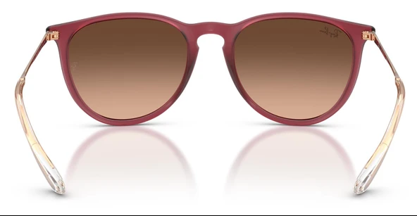 Ray-Ban RB4171 6815A5 54 Kadın Güneş Gözlüğü - 4