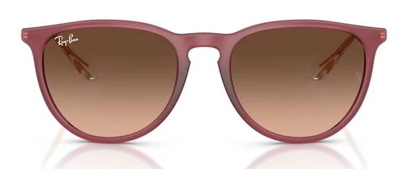 Ray-Ban RB4171 6815A5 54 Kadın Güneş Gözlüğü - 2