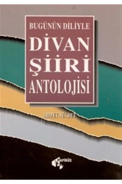 Papirüs Yayınevi Divan Şiiri Antolojisi Bugünün Diliyle - Ahmet Necdet