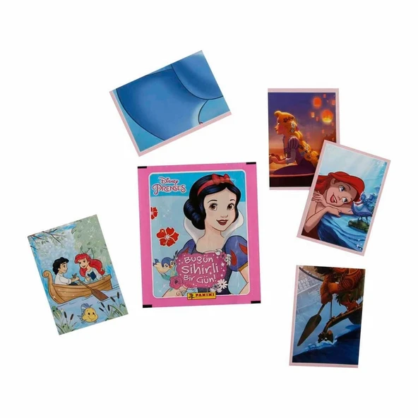 Disney Princess Çıkartma Kartları