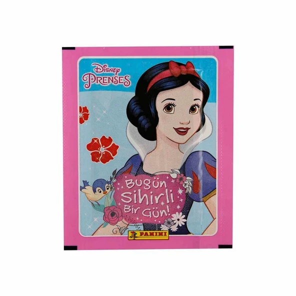 Disney Princess Çıkartma Kartları - 2