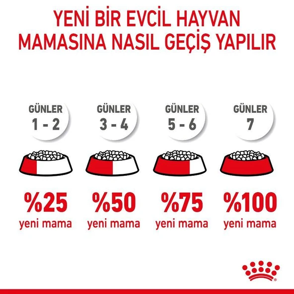 Royal Canin Kitten Sterilised Kısırlaştırılmış Yavru Kedi Maması 2 Kg - Resim 8