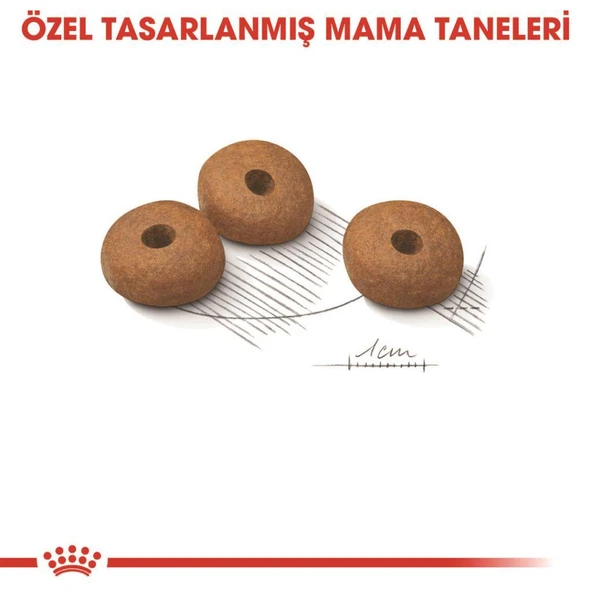 Royal Canin Light Weight Kedi Maması 1,5 Kg - 2