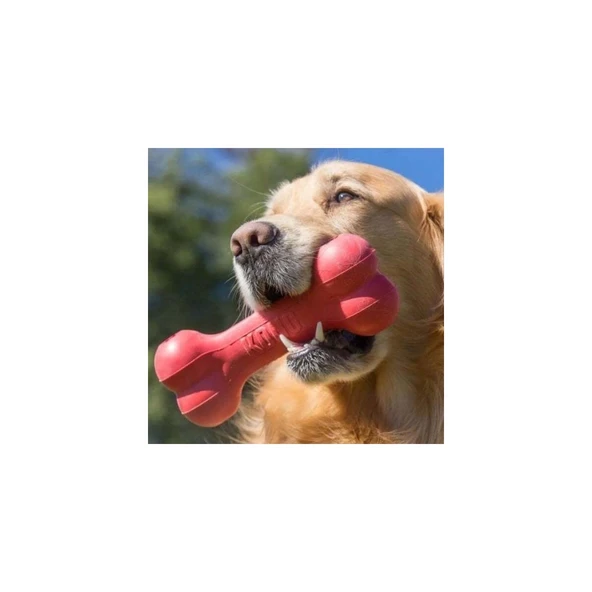 Kong Kemik Şeklinde Kauçuk Köpek Oyuncağı - 3