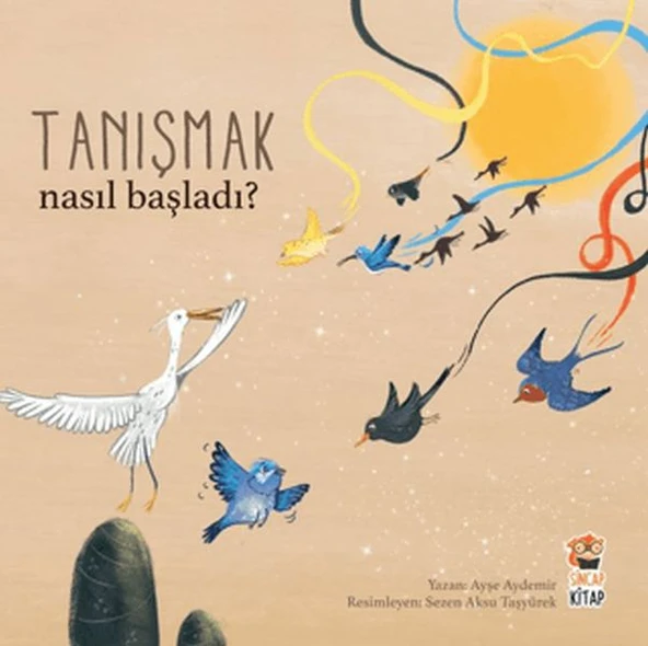 Nasıl Başladı Tanışmak AYŞE AYDEMİR