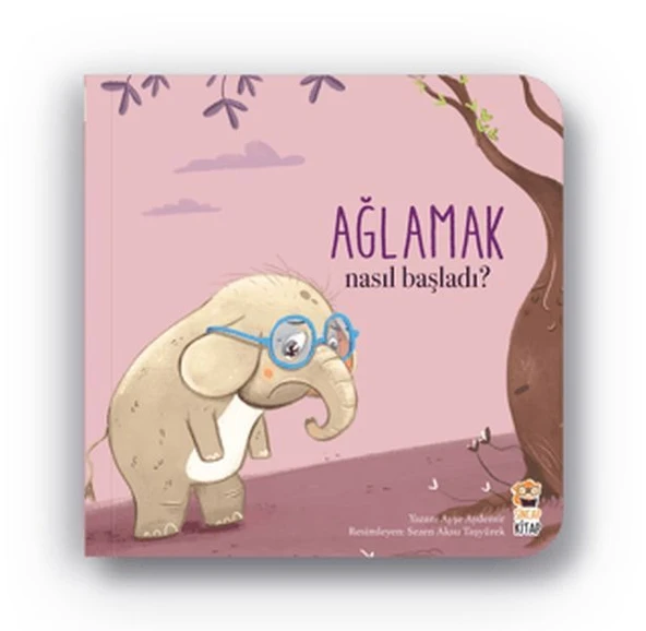 Nasıl Başladı Ağlamak AYŞE AYDEMİR
