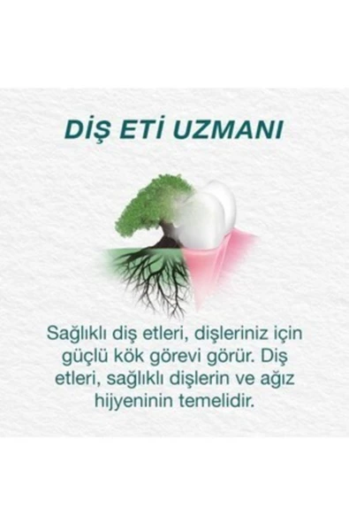 Orecare Bitkisel Diş Macunu Organik - 2