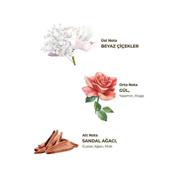 Hatıralar Kolonyası 200 ml - Cam Şişe - Resim 4