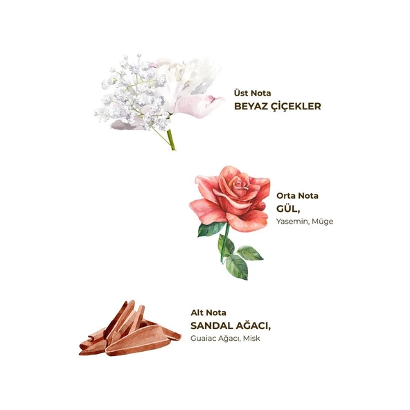 Hatıralar Kolonyası 400 ml - Cam Şişe - Resim 4