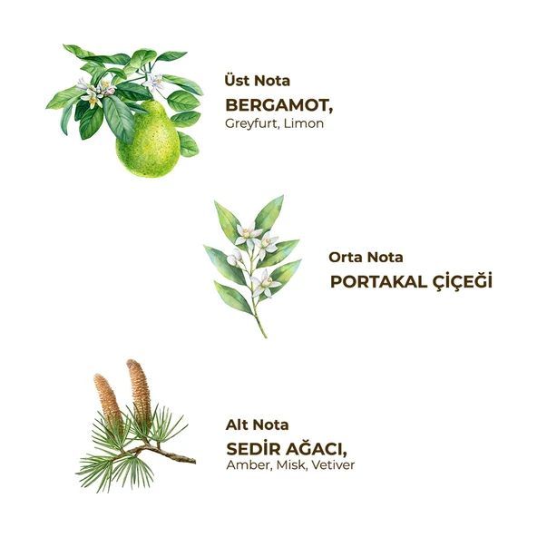 Eyüp Sabri Tuncer Tıraş Kolonyası No 3 - Resim 2