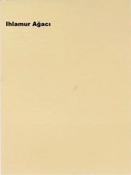 Marshall Maximum Silikonlu İpek Mat Ihlamur Ağacı 15 Lt. (20 Kg) - Resim 2