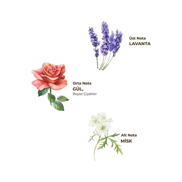 Lavanta Kolonyası 400 ml - Cam Şişe - Resim 4