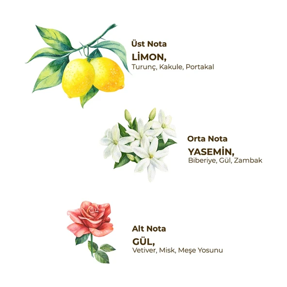 Eyüp Sabri Tuncer 250 ml Tıraş Kolonyası No:4 - Resim 2