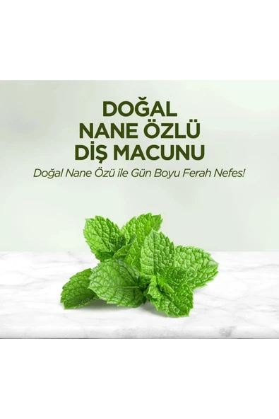 Eyüp Sabri Tuncer Karanfil Özlü Diş Macunu 75 ml - 3