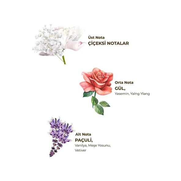 Eyüp Sabri Tuncer Paris Gecesi Kolonyası 400 ML - Resim 4