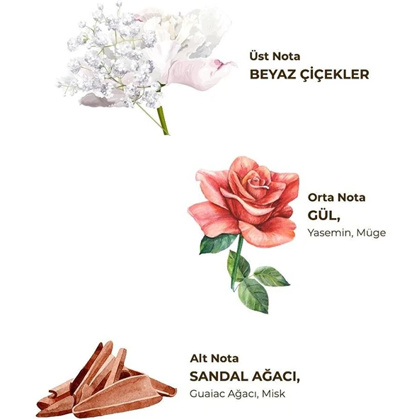 Eyüp Sabri Tuncer Hatıralar 150 ml Sprey Kolonya - Pet Şişe - Resim 2