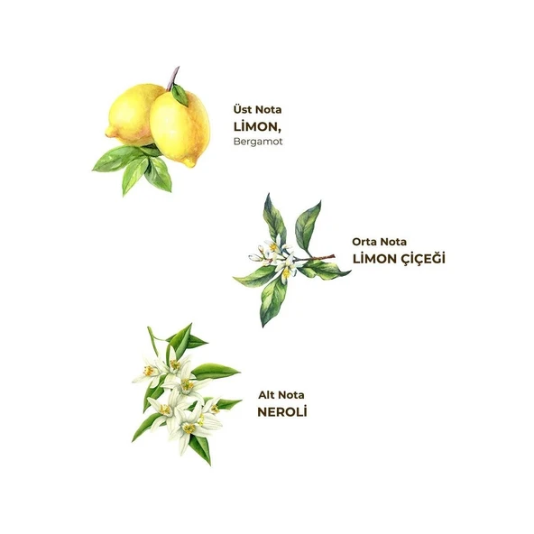 Eyüp Sabri Tuncer Klasik Limon Kolonyası 1 Lt - Koruma Kilitli Kapak - Resim 2