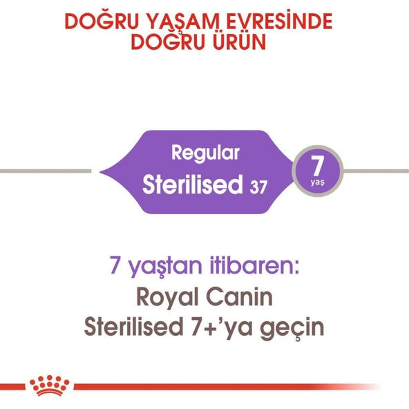 Royal Canin Sterilised Kısırlaştırılmış Kedi Maması 4 Kg - Resim 4