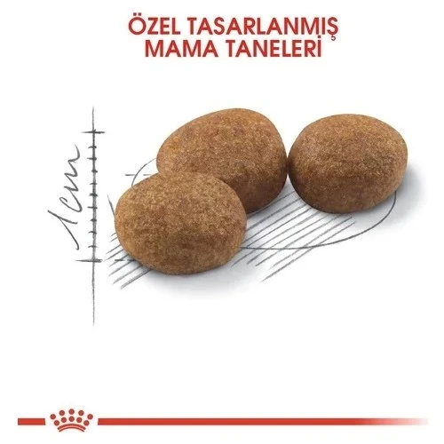 Royal Canin Sterilised Kısırlaştırılmış Kedi Maması 2 Kg - Resim 6