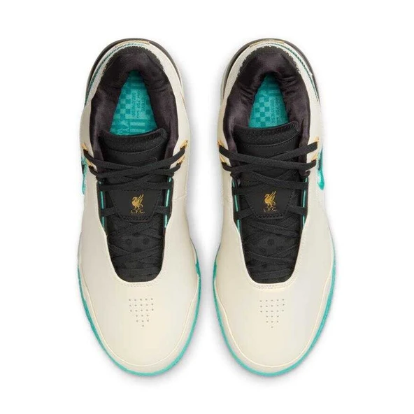 NİKE Zoom LeBron Nxxt Gen Ampd Erkek Basketbol Ayakkabısı FJ1566-101 - 5