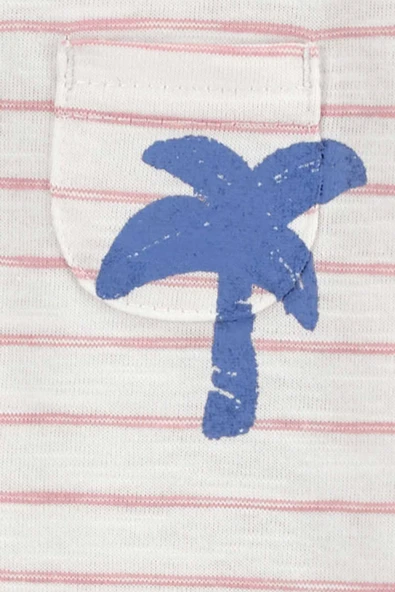 Carters Layette Renkli Erkek Bebek 2Li Tulum 1Q476310R - 2