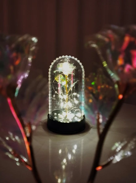 Hediye Sonsuzluk Gülü Ledli Fanus İçerisinde İnci Desenli Özel Tasarım Teraryum Gül - 3