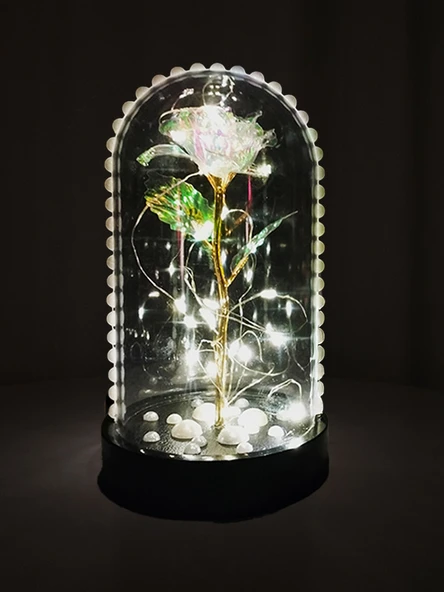 Hediye Sonsuzluk Gülü Ledli Fanus İçerisinde İnci Desenli Özel Tasarım Teraryum Gül - 4