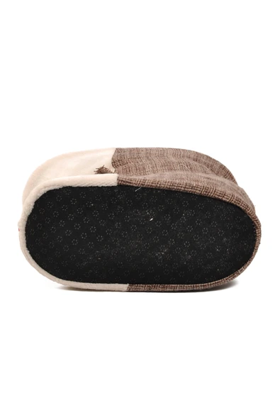 Aspor Kahve Bej Kadın Panduf Köpekli - 5