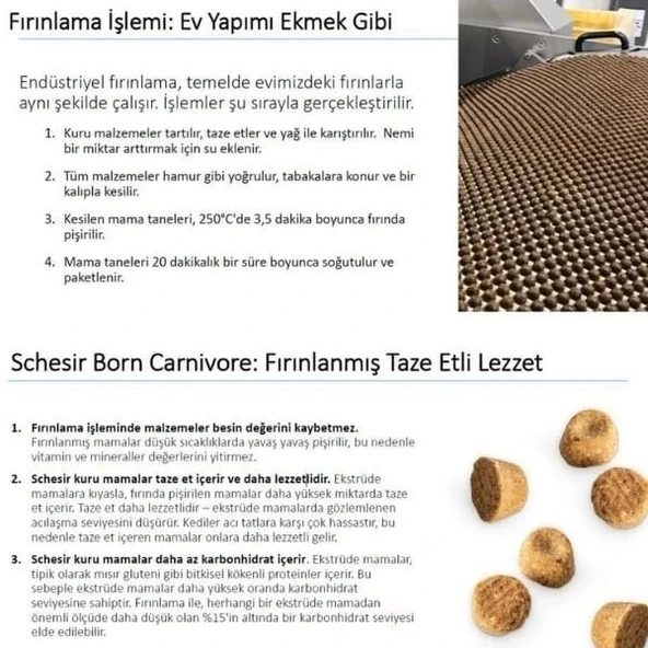 Schesir Born Carnivore Baby Tavuklu ve Yumurtalı Yavru Kedi Maması 255 Gr - 4