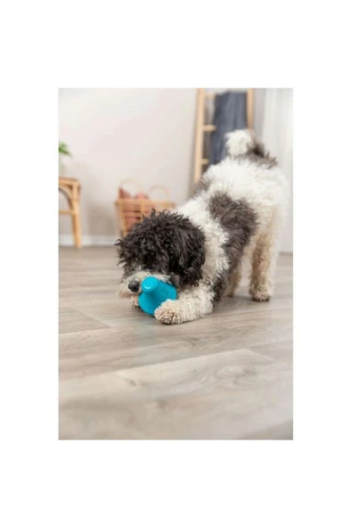 Trixie Naturel Kauçuk Köpek Oyuncağı, Ödül Hazneli, 12cm 440120