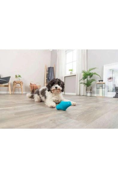 Trixie Naturel Kauçuk Köpek Oyuncağı, Ödül Hazneli, 12cm 440120 - 4